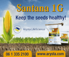 Santana banner